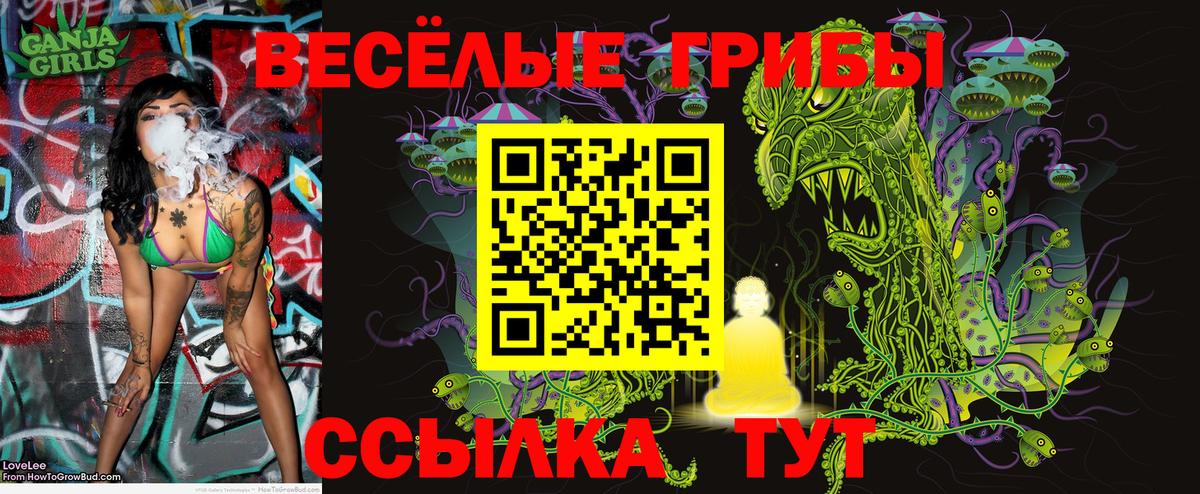 Псилоцибиновые грибы MAGIC MUSHROOMS  Вход с VPN  Дятьково 